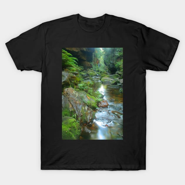 Canyon stream T-Shirt by Michaelm43